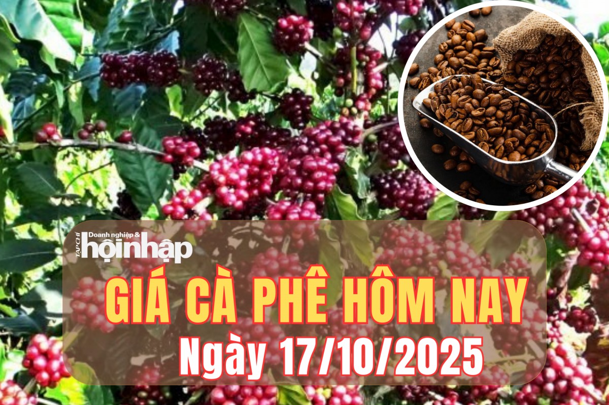 Giá cà phê hôm nay 17/10/2025: Giá cà phê trong nước tăng, thế giới biến động trái chiều