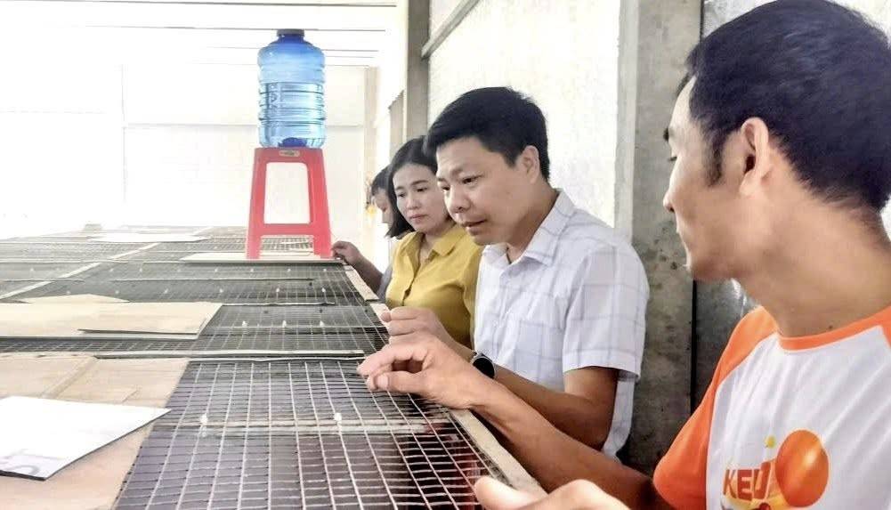 Châu Quế: Khơi dậy sức sáng tạo từ những mô hình kinh tế nông thôn hiệu quả