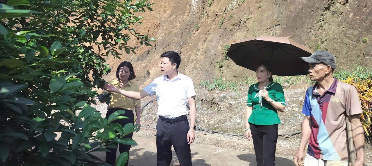 Châu Quế: Khơi dậy sức sáng tạo từ những mô hình kinh tế nông thôn hiệu quả