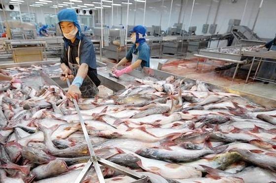Việt Nam mở rộng thị trường cá tra tại Brazil
