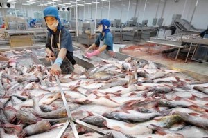 Việt Nam mở rộng thị trường cá tra tại Brazil