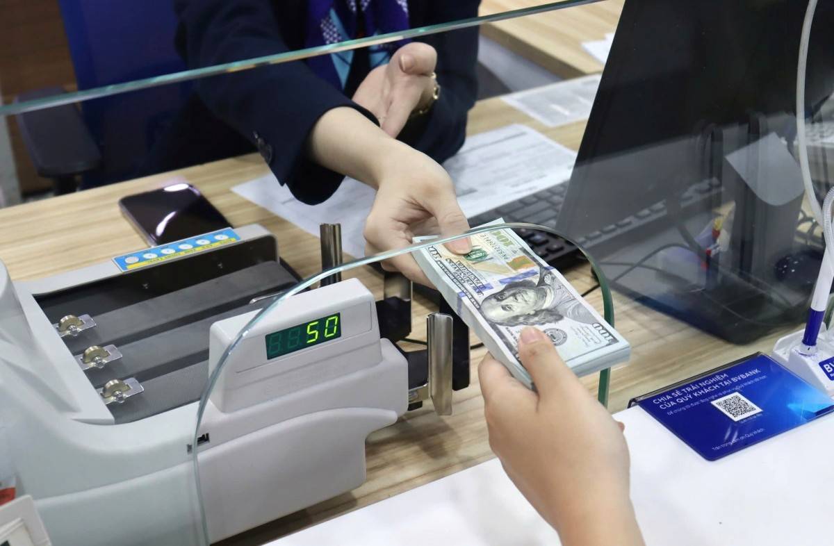 Dòng kiều hối từ châu Phi về TP. Hồ Chí Minh tăng mạnh, vượt mốc 150% trong 9 tháng năm 2025