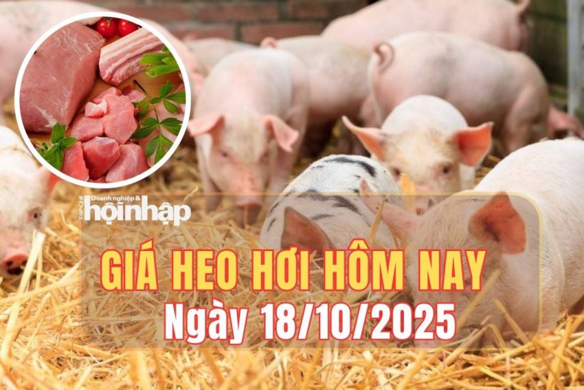 giá heo hơi