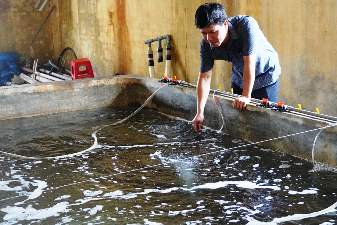 Quảng Trị: Nâng cao năng lực tự chủ nguồn giống thủy sản hướng đến phát triển bền vững