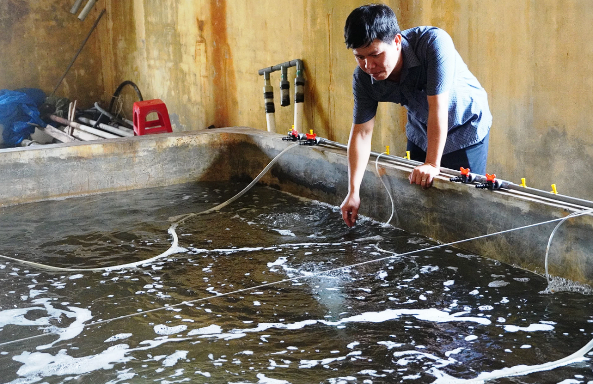 Quảng Trị: Nâng cao năng lực tự chủ nguồn giống thủy sản hướng đến phát triển bền vững