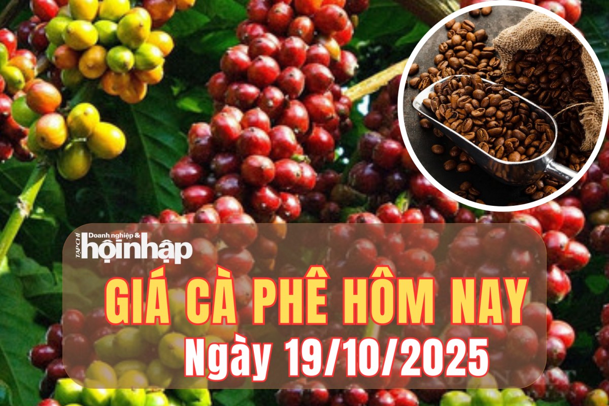 Giá cà phê hôm nay 19/10/2025: Giá cà phê trong nước quay đầu giảm, thế giới trái chiều phiên cuối tuần