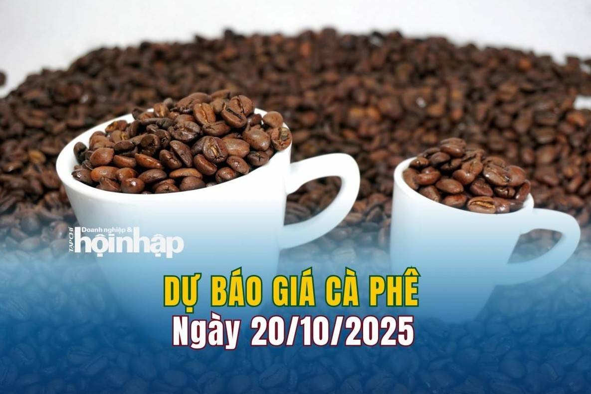 Dự báo giá cà phê 20/10: Cà phê trong nước có xu hướng tăng vọt