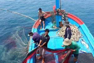 Cả hệ thống chính trị vào cuộc, quyết liệt “tuyên chiến” với khai thác hải sản IUU