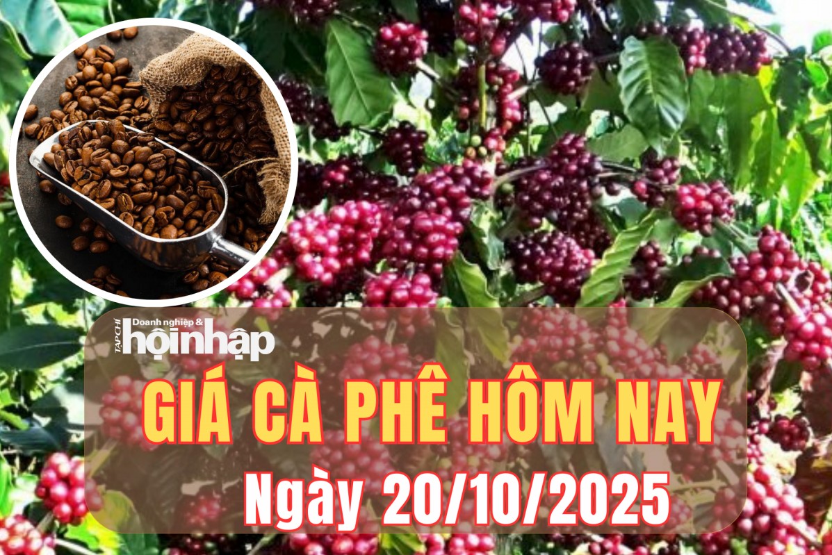Giá cà phê hôm nay 20/10/2025: Kết thúc tuần qua, giá cà phê Tây Nguyên tăng nhẹ