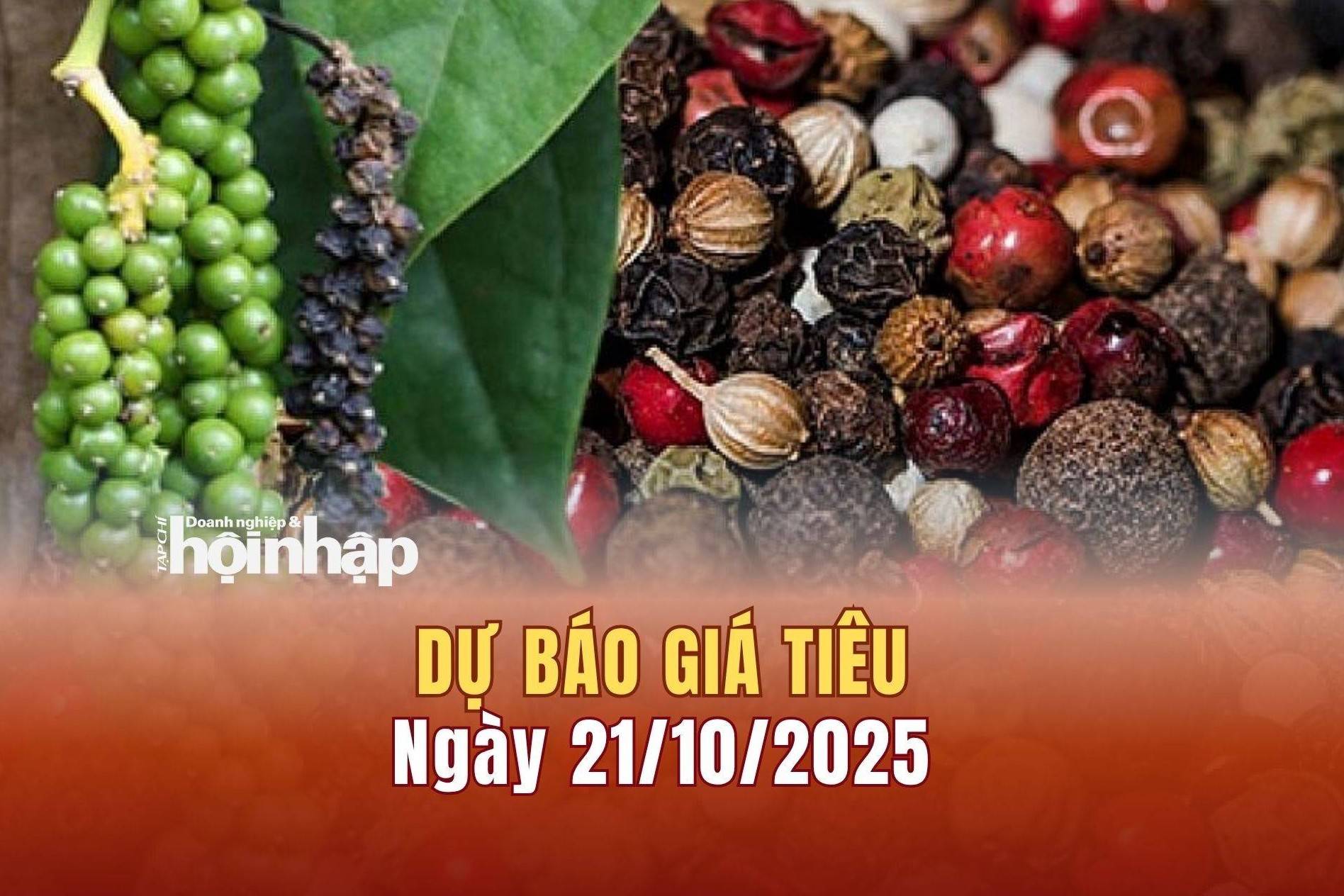 Dự báo giá tiêu 21/10: Tiêu trong nước đảo chiều "bật" tăng