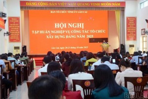 Lào Cai tổ chức lớp tập huấn nghiệp vụ công tác tổ chức xây dựng Đảng