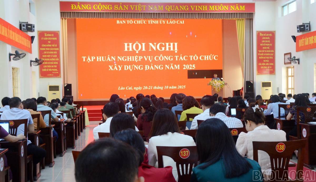 Lào Cai tổ chức lớp tập huấn nghiệp vụ công tác tổ chức xây dựng Đảng