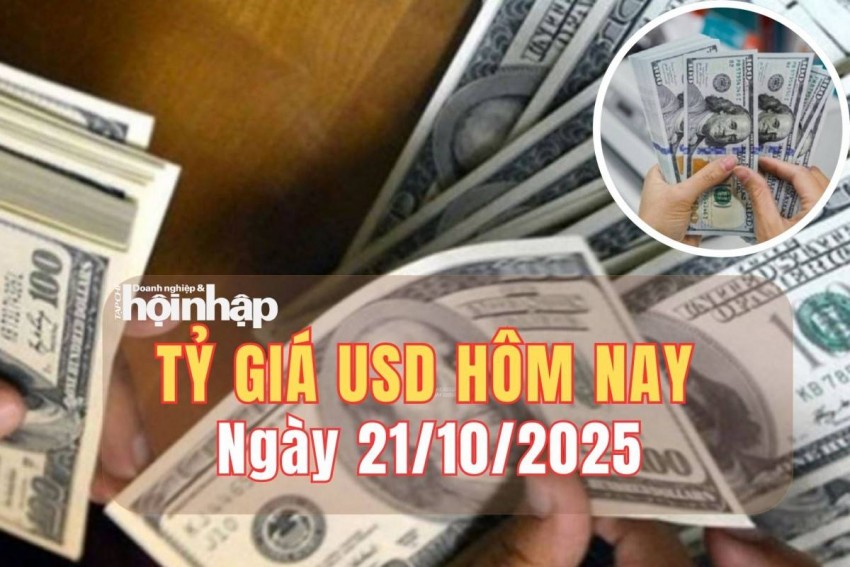 Tỷ giá USD hôm nay 21/10/2025: Đồng USD tăng trước biến động chính trị tại Tokyo