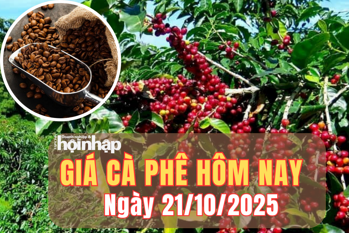 Giá cà phê hôm nay 21/10/2025: Giá cà phê trong nước ổn định, arabica bật tăng mạnh