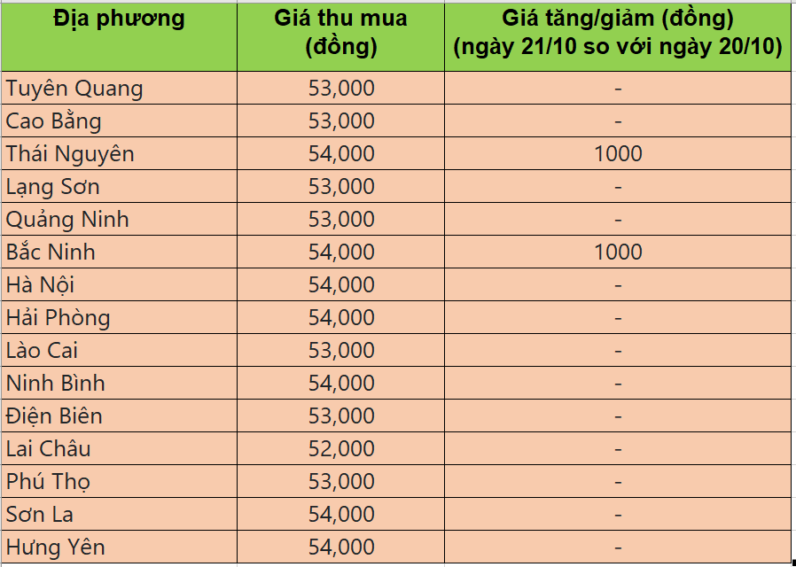 Bảng giá heo hơi tại miền Bắc hôm nay 21/10/2025
