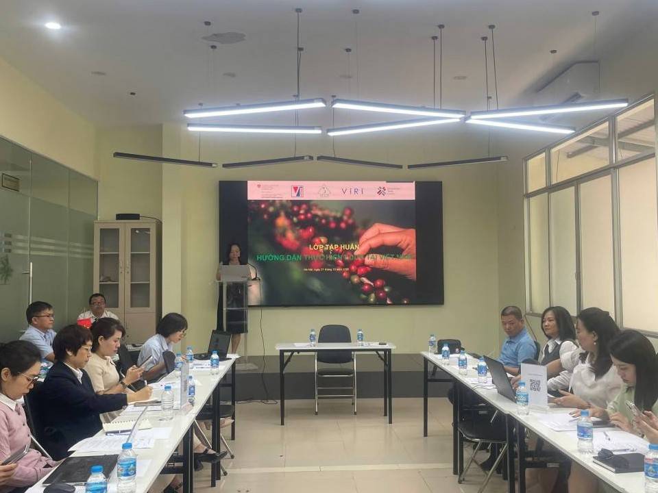 Quy định sản xuất không gây mất rừng: Những lưu ý cho doanh nghiệp vừa và nhỏ