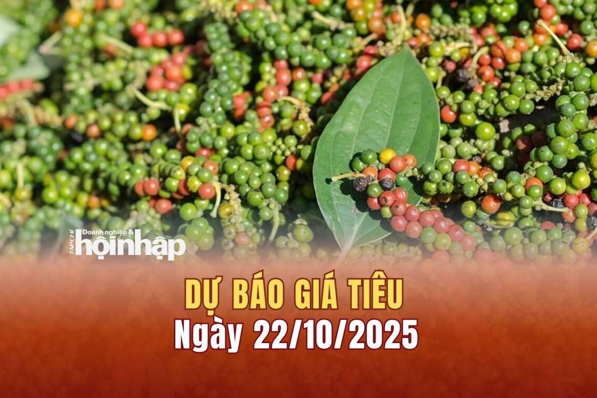 Dự báo giá tiêu 22/10: Tiêu trong nước neo cao, thế giới tăng "vọt"