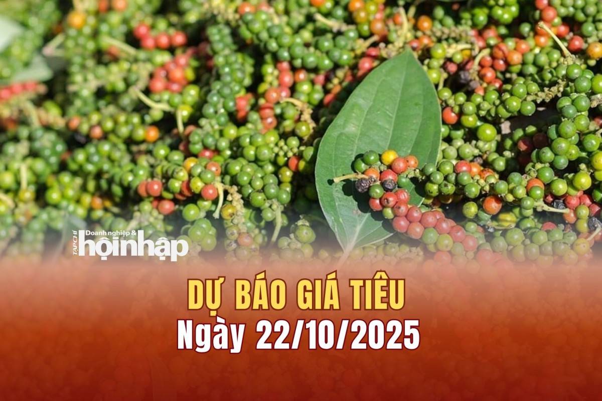 Dự báo giá tiêu 22/10/2025