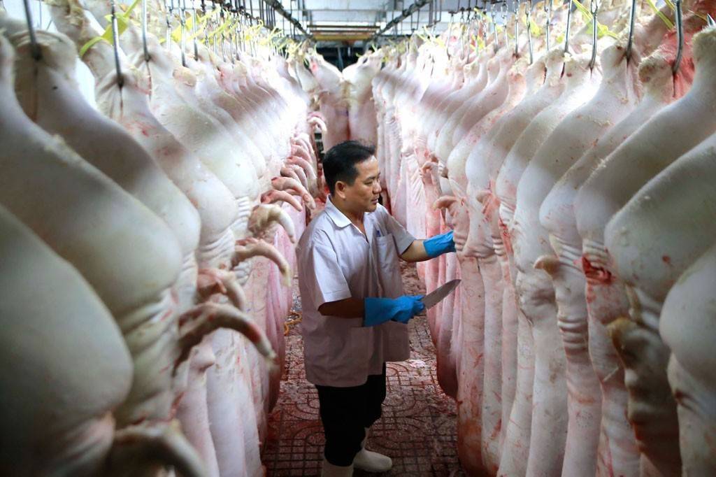 TP. Hồ Chí Minh dự kiến thí điểm sàn giao dịch thịt heo từ tháng 12