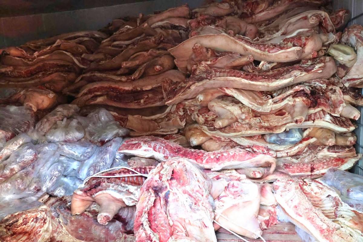 Công an Phú Thọ ngăn chặn gần 38 tấn thịt lợn nhiễm dịch tả tuồn ra thị trường
