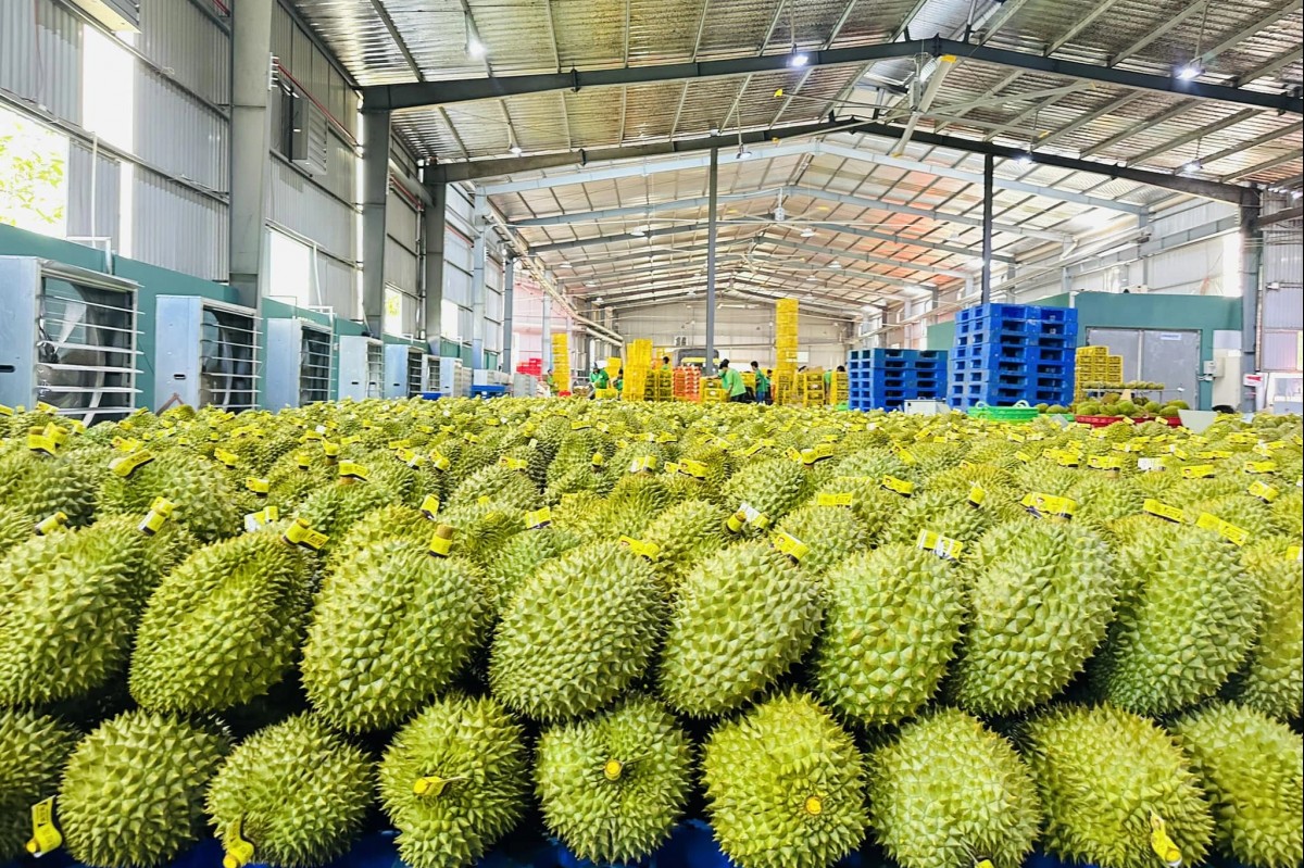 Trung Quốc ban hành quy định mới về nhập khẩu nông sản, siết chặt kiểm dịch và an toàn thực phẩm