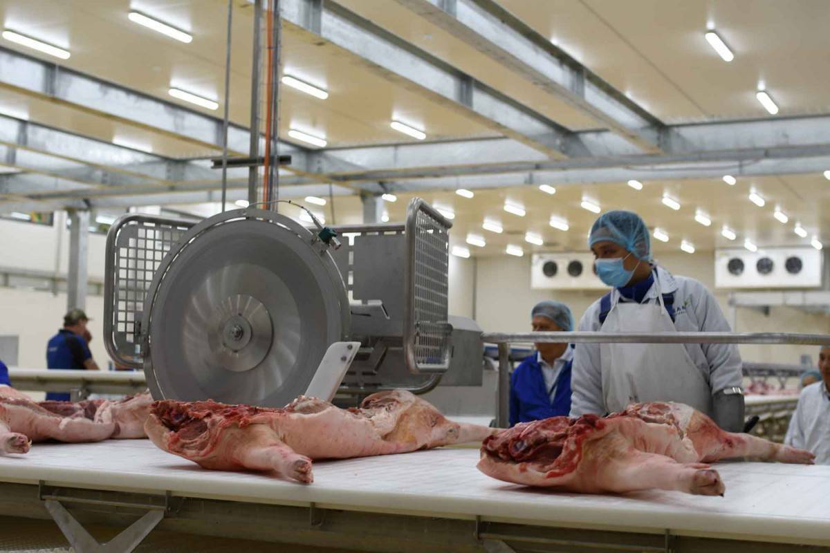 Hà Nội tái cấu trúc thị trường thực phẩm tươi sống: Siết chặt quản lý giết mổ, truy xuất nguồn gốc