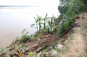 Phú Thọ khẩn trương ứng phó sạt lở nghiêm trọng đê hữu sông Thao