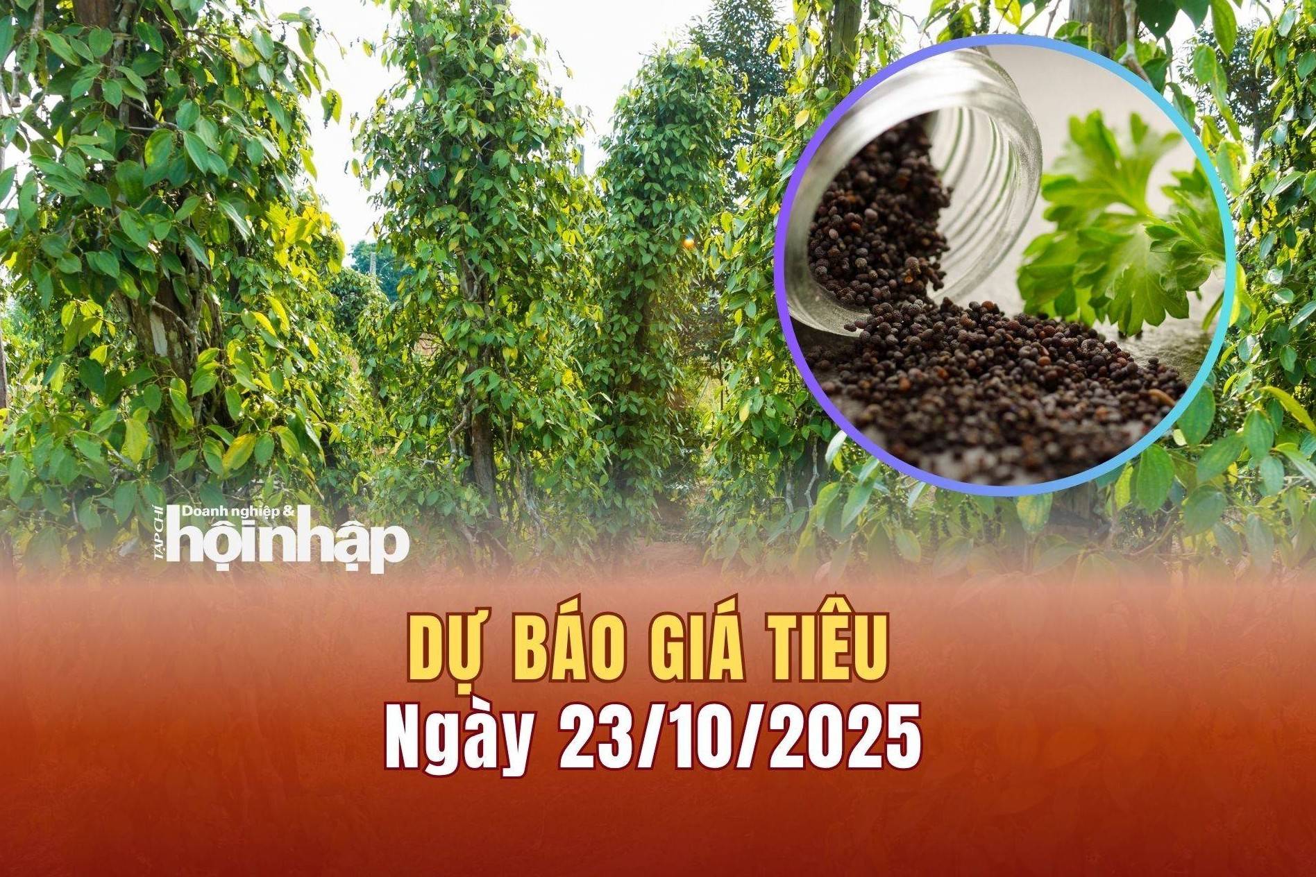 Dự báo giá tiêu 23/10: Tiêu trong nước giữ giá ở mức cao
