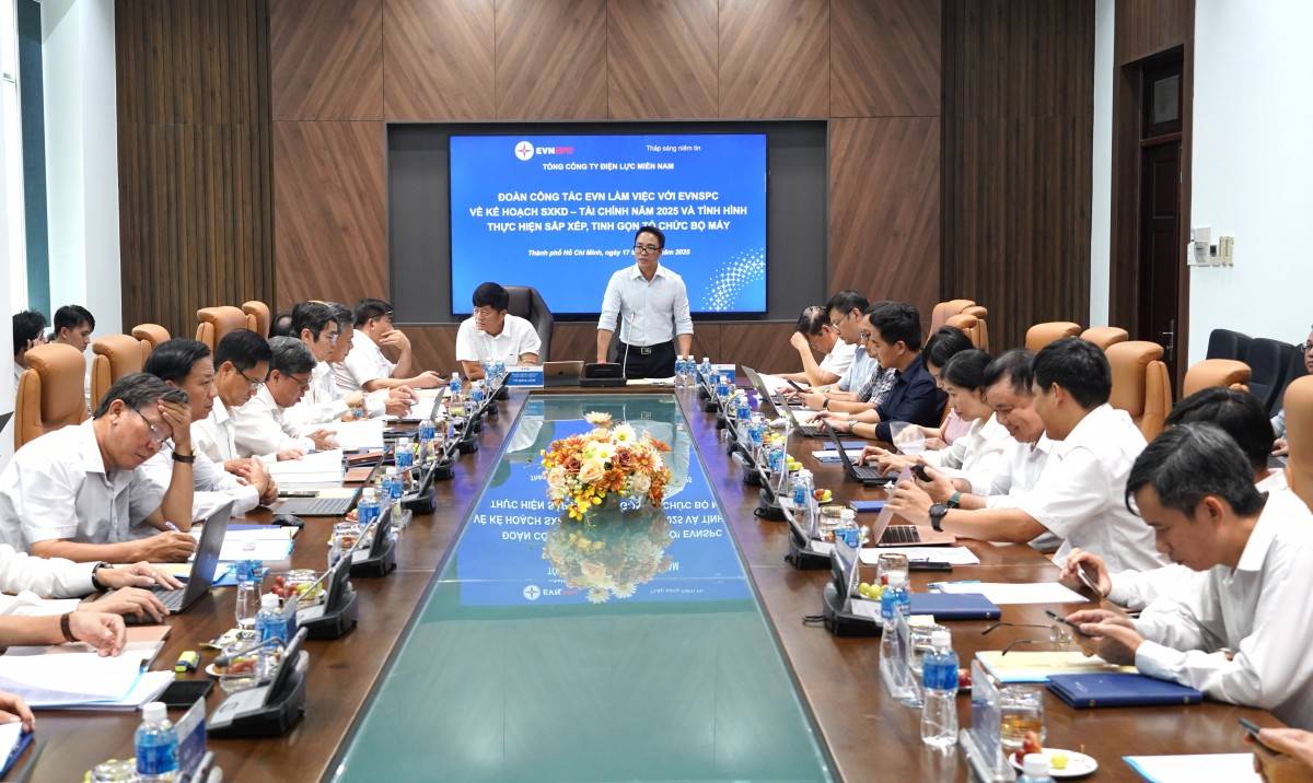 Ông Cao Quang Quỳnh – Thành viên HĐTV EVN phát biểu tại buổi làm việc.