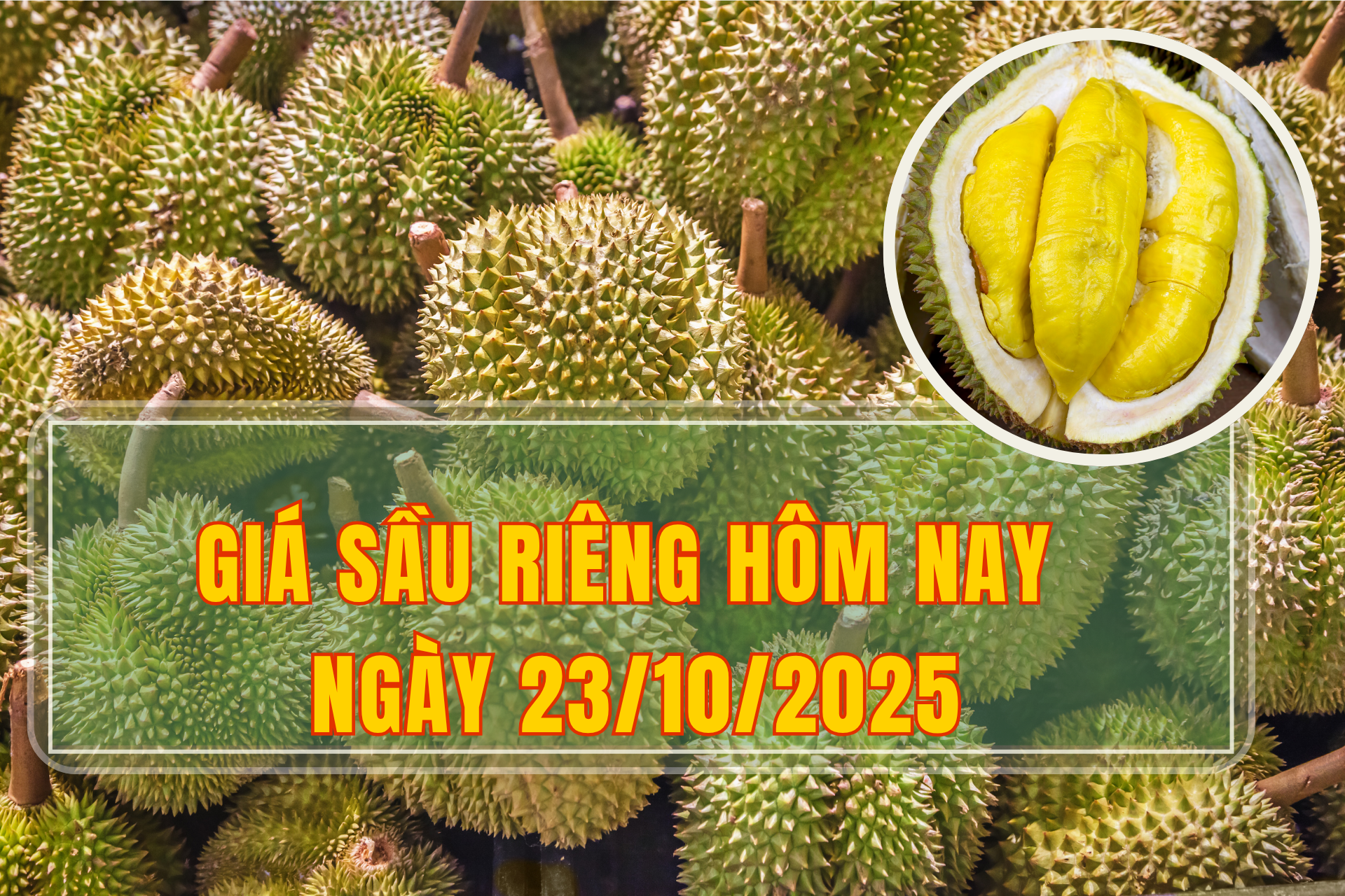 Giá sầu riêng hôm nay 23/10: Sầu riêng khu vực Tây Nguyên quay đầu giảm giá
