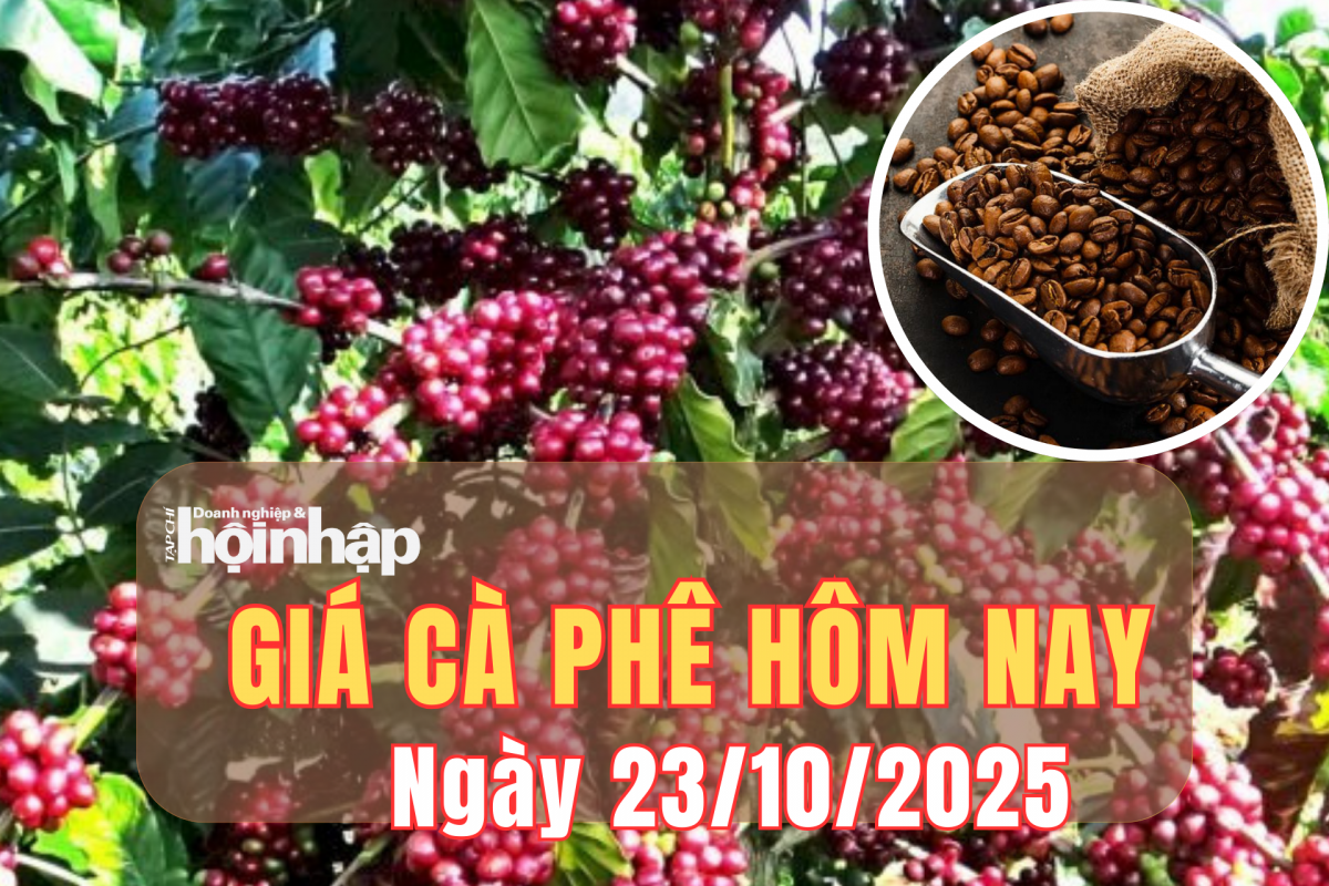 Giá cà phê hôm nay 23/10/2025: Giá cà phê trong nước và thế giới tiếp đà tăng mạnh