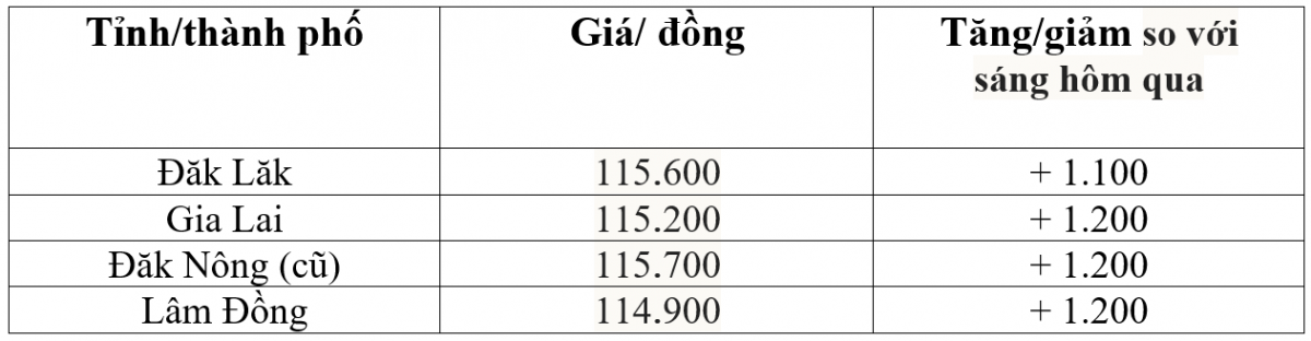 Bảng giá cà phê trong nước hôm nay 23/10/2025
