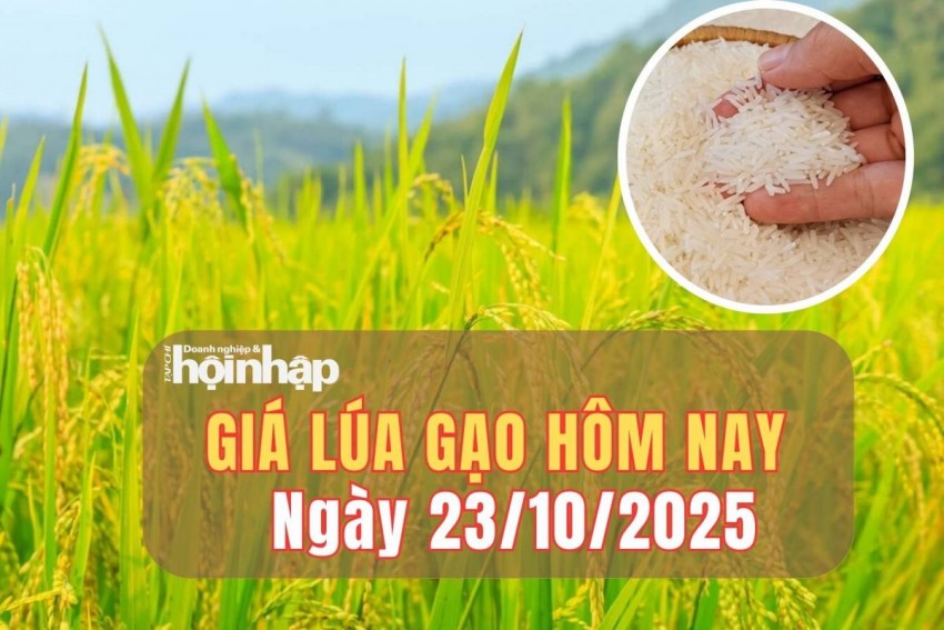 Giá lúa gạo hôm nay 23/10/2025: Giá gạo xuất khẩu giảm nhẹ, thị trường chờ tín hiệu từ Philippines