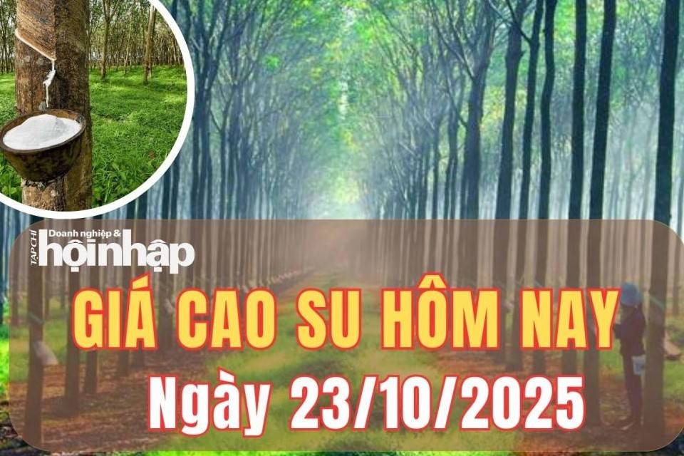 Giá cao su hôm nay 23/10/2025: Giá cao su thế giới phân hóa rõ nét