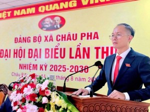 Châu Pha (TP. Hồ Chí Minh): Bước chuyển mạnh mẽ từ nông nghiệp sang thương mại – dịch vụ