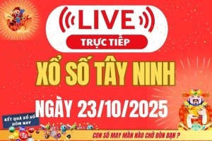 TRỰC TIẾP: Xổ số Tây Ninh hôm nay ngày 23/10/2025 - XSTN 23/10
