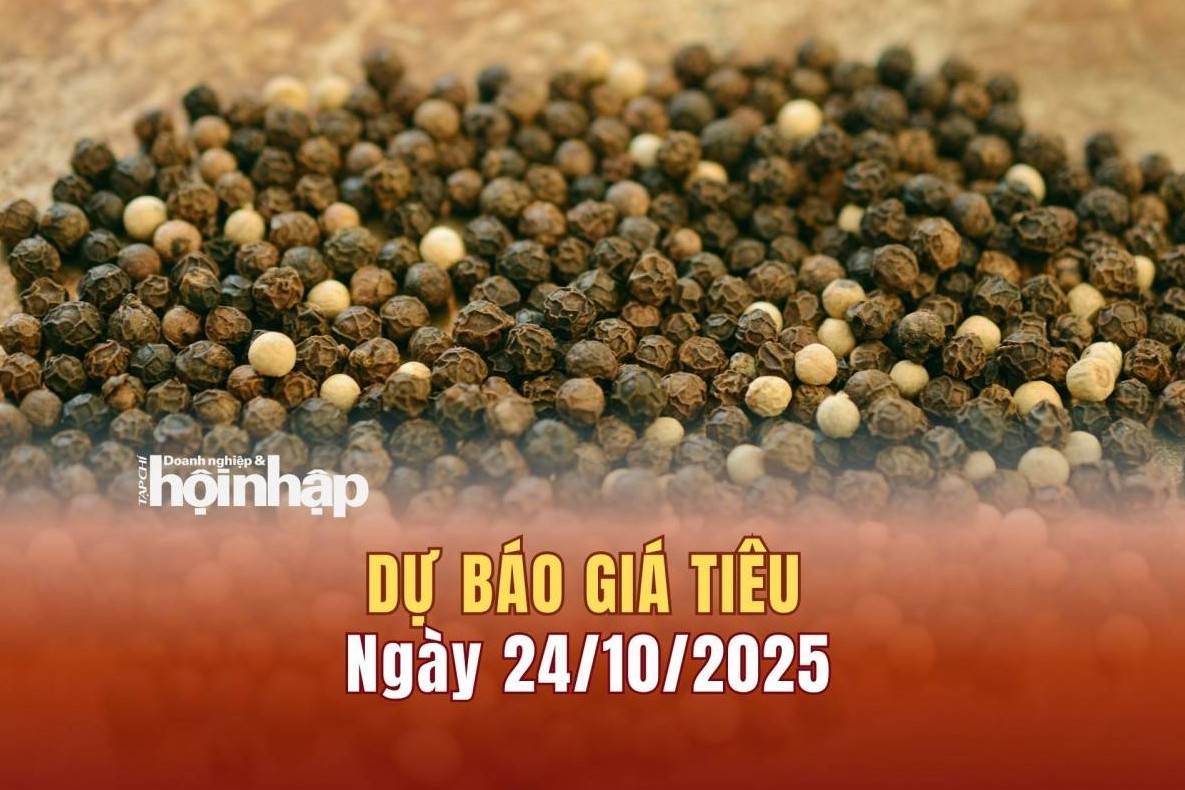 Dự báo giá tiêu 24/10: Tiêu trong nước neo cao, thế giới có xu hướng giảm