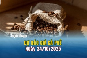 Dự báo giá cà phê 24/10: Cà phê trong nước tăng "phi mã"