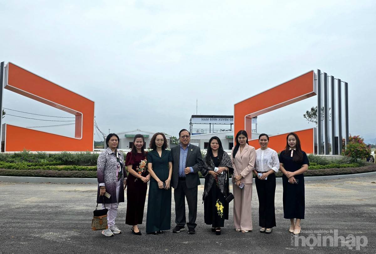 Giáo sư Hà Tôn Vinh kết nối doanh nghiệp Mỹ đầu tư các dự án tại Phú Thọ