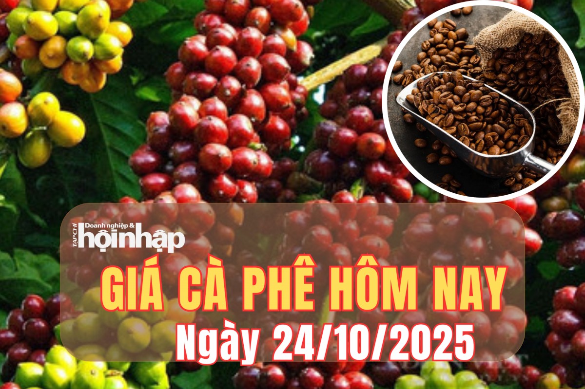 Giá cà phê hôm nay 24/10/2025: Giá cà phê Tây Nguyên tăng mạnh chạm đỉnh 118.500 đồng/kg, thế giới lao dốc