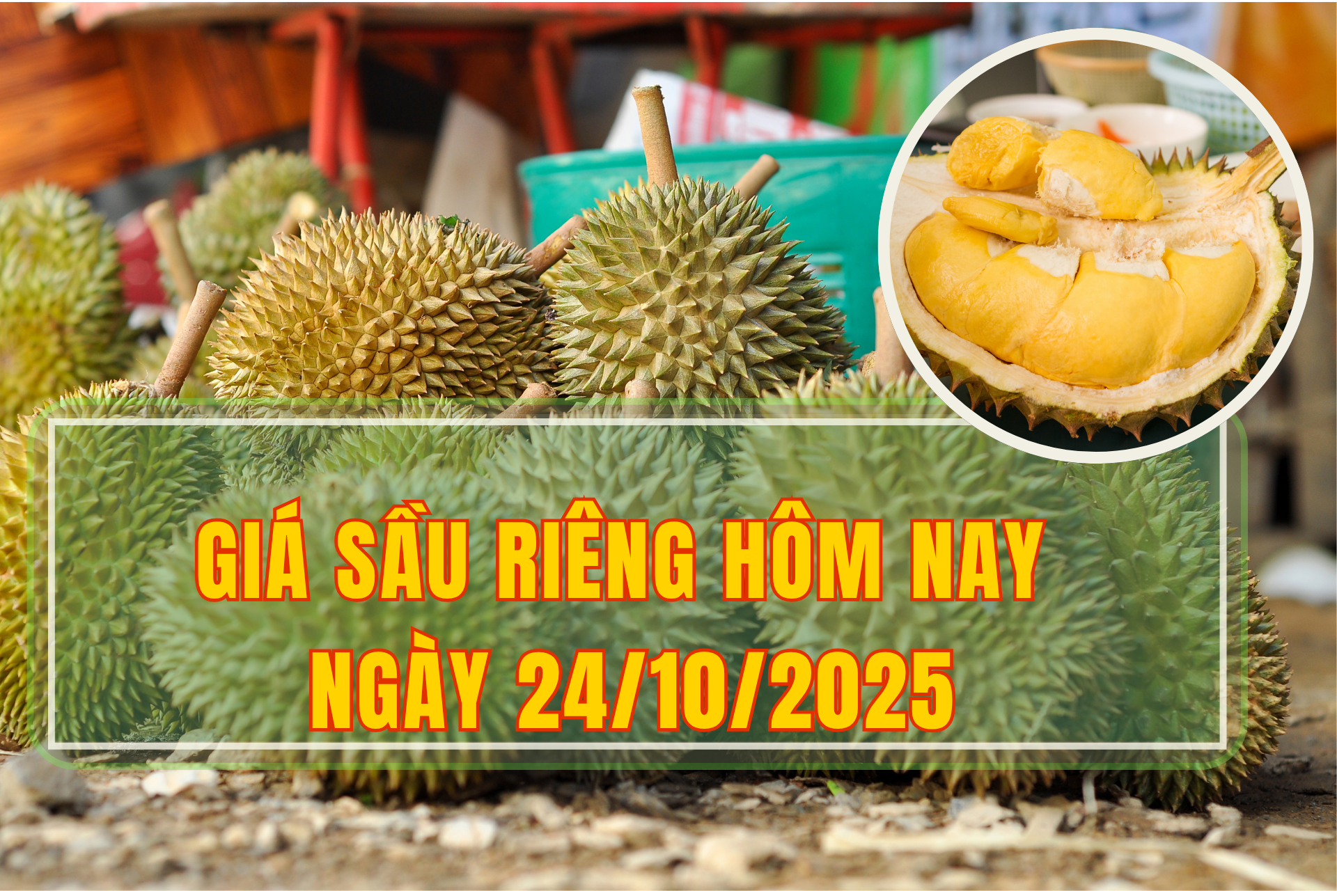 Giá sầu riêng hôm nay 24/10: Thị trường rớt giá mạnh