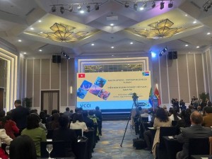 Diễn đàn Doanh nghiệp Việt Nam - Nam Phi: Tìm đối tác trong lĩnh vực tiềm năng