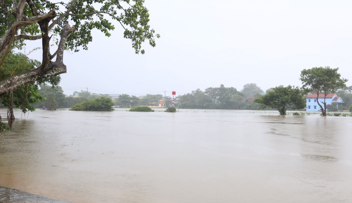 Quảng Trị: Chủ động ứng phó nguy cơ ngập lụt diện rộng do ảnh hưởng hoàn lưu bão số 12