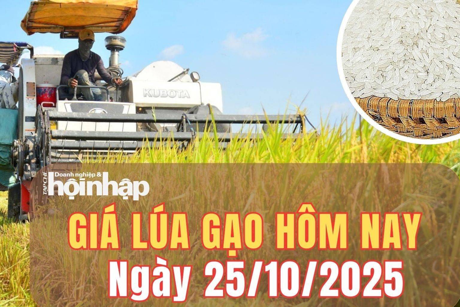 Giá lúa gạo hôm nay 25/10/2025: Giá lúa gạo trong nước tiếp tục ổn định, thị trường xuất khẩu châu Á trái chiều
