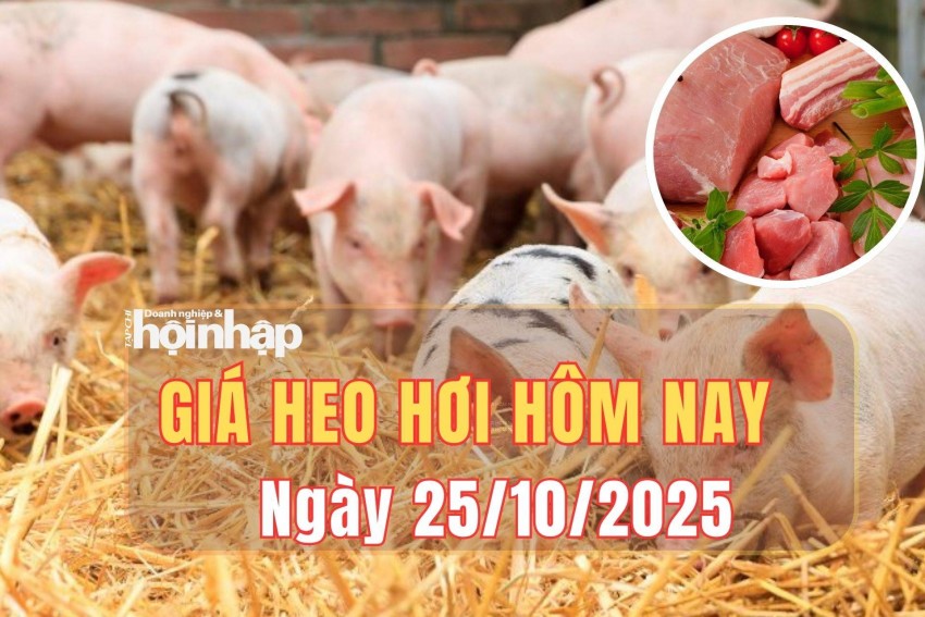 Giá heo hơi hôm nay 25/10/2025: Giá heo hơi tiếp tục ổn định trên toàn quốc Giá heo hơi hôm nay 25/10/2025: Giá heo hơi tiếp tục ổn định trên toàn quốc