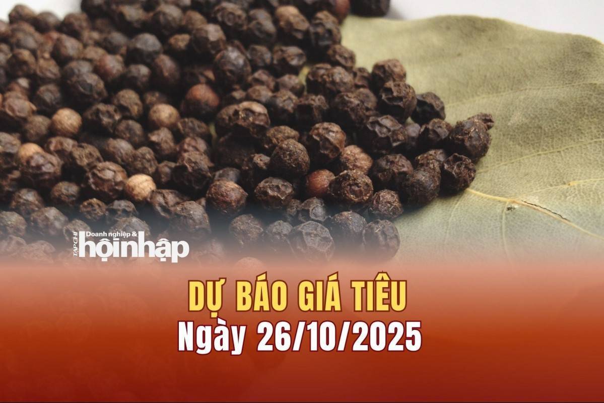 Dự báo giá tiêu 26/10: Tiêu trong nước có xu hướng giảm