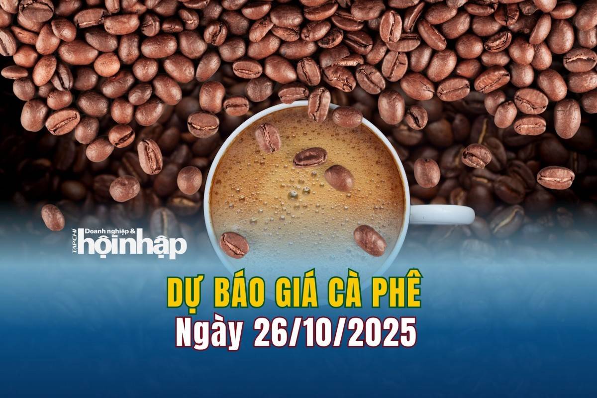 Dự báo giá cà phê 26/10/2025 Dự báo giá cà phê 26/10/2025