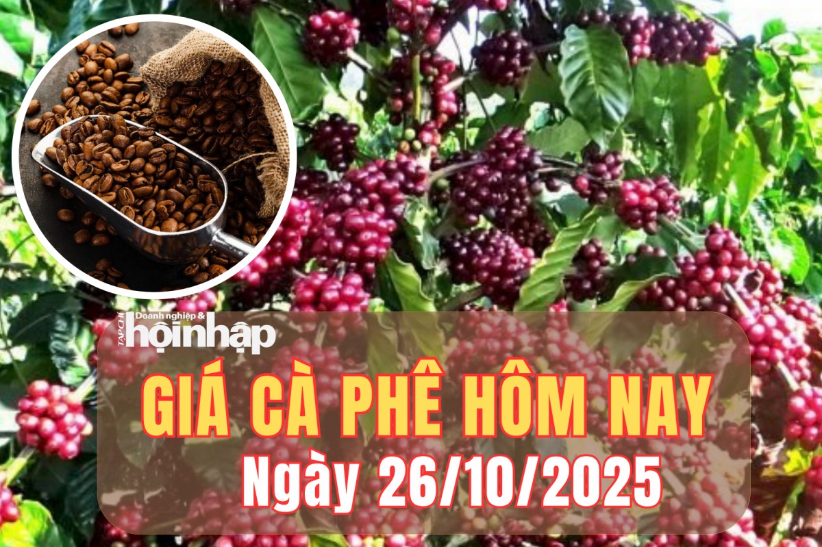 Giá cà phê hôm nay 26/10/2025: Giá cà phê Tây nguyên tăng nhẹ