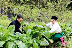 Tăng cường phân cấp để nâng cao hiệu quả các Chương trình mục tiêu quốc gia