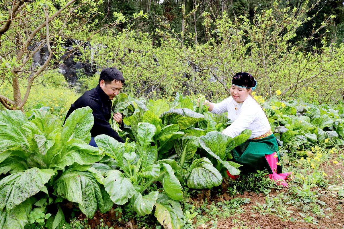 Tăng cường phân cấp để nâng cao hiệu quả các Chương trình mục tiêu quốc gia Tăng cường phân cấp để nâng cao hiệu quả các Chương trình mục tiêu quốc gia